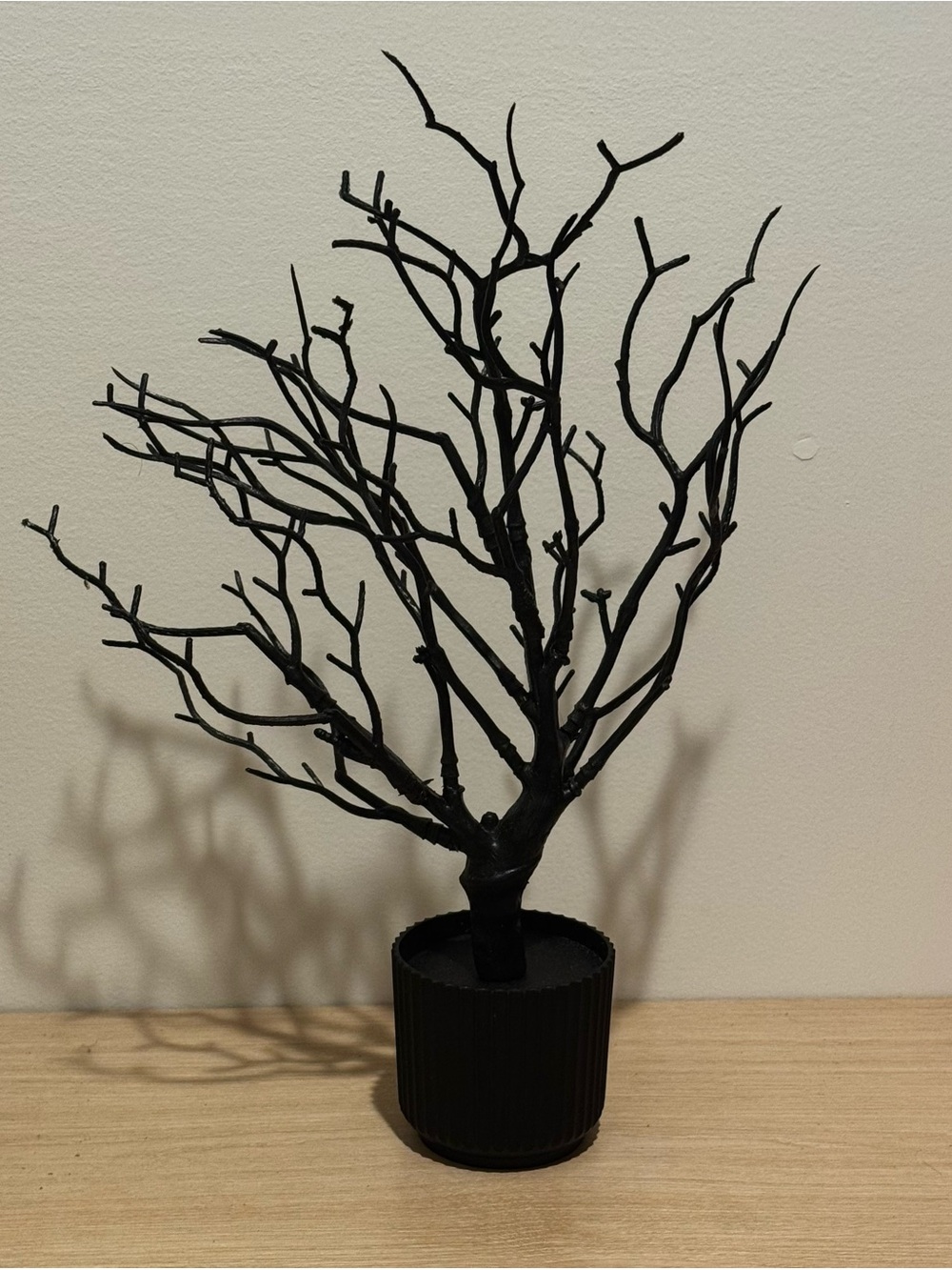 Black Decorative Branch Accent in Black Pot